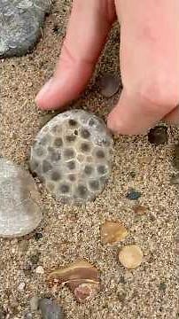 Sam Polishes a Petoskey Stone