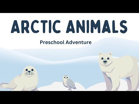 ☃️❄️Arctic Animals Preschool Learning Video