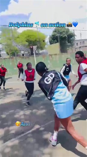 Netball Highlights: Thrilling Turnovers and Dolphins Action