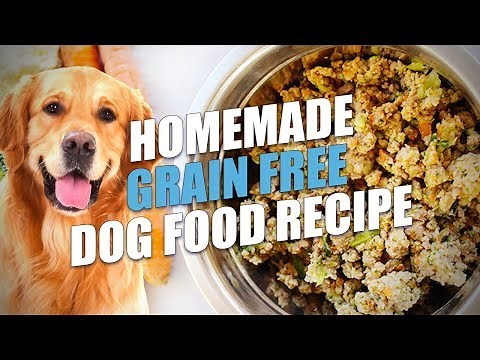 Homemade Grain Free Dog Food Recipe (Healthy and Cheap)