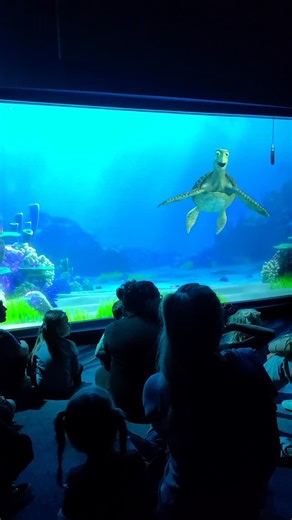 Miss Bee | Turtle talk with Crush! Telling dad jokes from Marlin! #turtletalkwithcrush #dca #disneycaliforniaadventures | Instagram