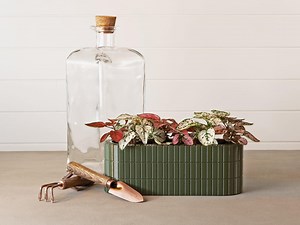 Vertical Block Oval Planter - Indoor Pot - Self-watering Planter - Fits Four 2” Nursery Pot Plants - Etsy