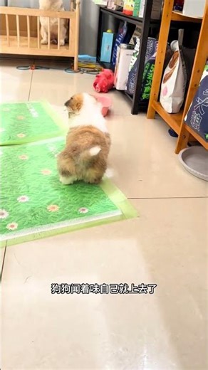 Awakening Spring: Nature's Revival Unveiled