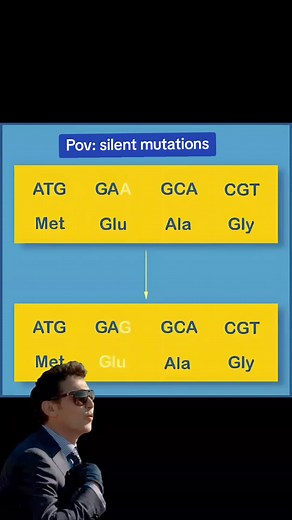 Silent Mutation in Genetics: When DNA Changes Without Consequences A silent mutation is a type of genetic mutation where a change in the DNA sequence does not alter the amino acid sequence of the resulting protein. This occurs due to the redundancy of the genetic code, where multiple codons can code for the same amino acid. Although the DNA is mutated, the protein function usually remains unchanged, making the mutation