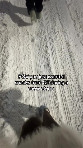 13 mins my ass. Never again 😭🥶 #snow #storm #cold #fyp #trip | snow storm