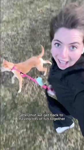 Looking for a reliable pet sitter in Newport? 🐾