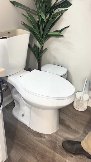 Fixing a Clogged Toilet | Idea Craft