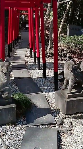 山名八幡宮境内社の稲荷大神様参拝（創建859年の世界では唐王朝、ヨーロッパでは中世王国、インドでは仏教王朝が栄え、そんな遠い昔から、山名八幡宮 は人々の祈りを受け継いでいます。）2026.3.15