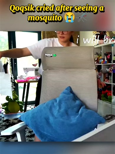 Qoqsik Experiences a Hilarious Mosquito Moment
