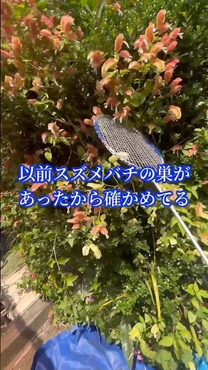 Cutting down all the plants and leaving the garden clean and tidy #Gardener's Vlog #First Class L...