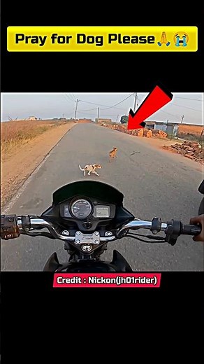 Drive Safe Please 🙏 Motovlogs #ytshorts #motovlog #bike