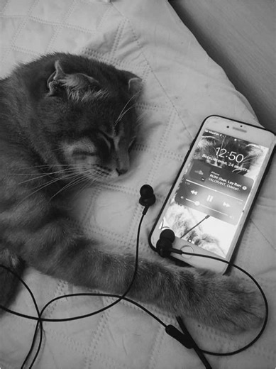 Chilling in the Snow: A Raw Reflection