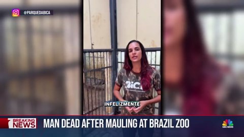 Man dead after lion mauling at Brazil zoo