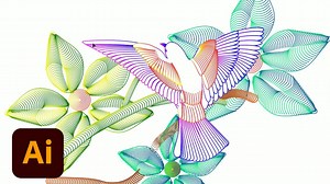 Getting Started in Illustrator & Illustrator Draw | Adobe Creative Cloud