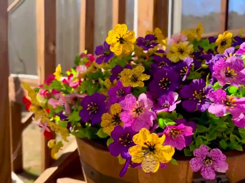Artificial Flowers for Outdoor Indoor Garden Home Decoration, Faux Flower Daisy with Eucalyptus Leaves Fake Plants Greenery Boxwood Porch Patio, 12 Bundles (Mix Pink Red Purple Yellow)