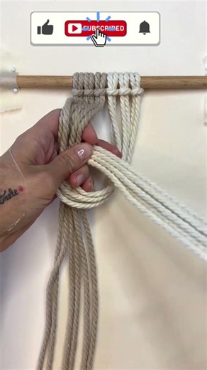 Beautiful Two-Color Macrame Knot Pattern