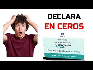 Declaración anual en ceros - Tutorial Declaración Anual