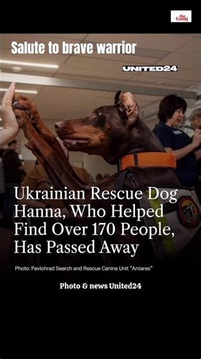 Hannah The Brave soldier of Ukraine war.