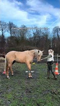 Jour 24 du calendrier de l’Avent : apprendre le reculer en r+