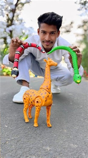 Noya Rc Snake vs Remote Wala Giraffe Dakora 🔥