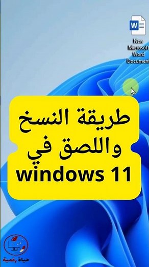 طريقة النسخ واللصق في windows 11