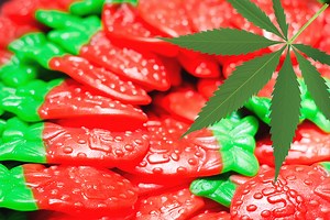 Cannabis Hard Candy Recipe | How to Make Cannabis Hard Candy