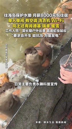 住海岛保护水獭月薪8000元 ：单人单间，有空调Wi-Fi