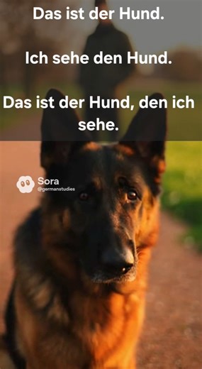 German relative clause with accusative case. / Relativsatz im Akkusativ.