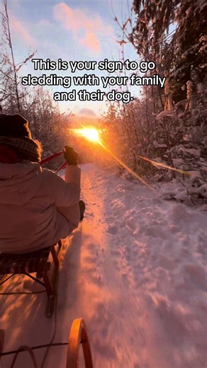Sign to Sledding Fun with Your Family and Dog