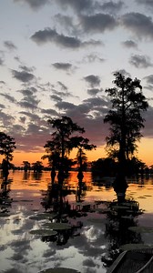 Caddo Lake, Uncertain Texas. #texas #caddolake #fallcolors FirstCastCabin.com mudportcharters.com | FirstCastCabin