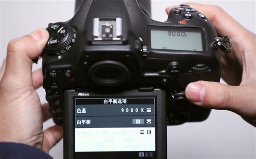 张尧聊摄影 | 尼康Nikon D850操作设置使用视频教程（上）
