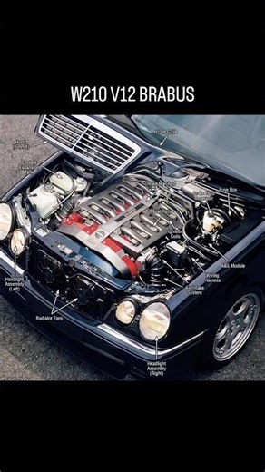 W210 V12 BRABUS. #cars #car #automobile #mercedes #engine #shortsfeed #carenthusiast #engineering.