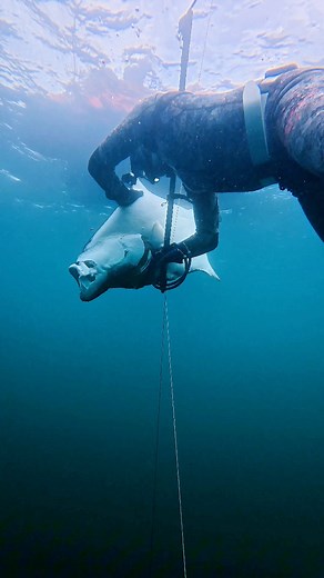 208K views · 1.1K reactions | Vlad Siryk on Reels | Facebook