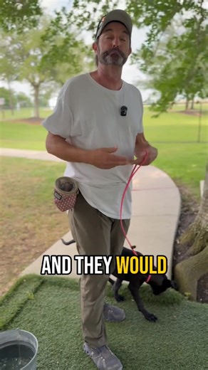 Want your dog to drink on command? 💧 Check out this simple dog training hack using a finger-swishing motion and a verbal cue! 🐕 #DogTrainingHack #DogGestureTraining #DogTricks #DogTrainingTips #HydratedDog #DogObedience #TrainingDogs #DogBehavior #DogTraining #DogFieldwork #ObedienceTraining | Shelmar Kennels