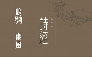 你我共读《诗三百》之《鸱鸮》（含字幕）