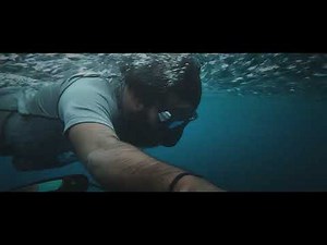 Audio Description (Example)