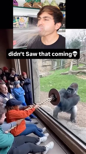 Ronnie C on Instagram: "Didn’t Saw that coming 💀 641 . . . . #funny #meme #react #trynottolaugh #trynottolaughchallenge #didntseethatcoming #reaction #challenge #viral #memes #dontlaugh #dontlaughchallenge #ifyoulaughyourgoingtohell #ifyoulaughyoulose"