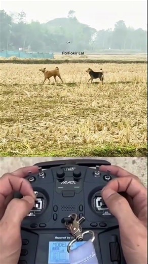 Village Drone Prank Funny 🤣 || Drone Prank Gone Wrong 🤣 || #shorts #drone #prank #funny #comedy