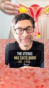The uterus has taste buds !