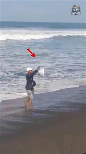 🔴 😱...DETIK-DETIK IKAN CALON JUARA 1 BERHASIL LANDED _ LOMBA MANCING PASIRAN#shorts