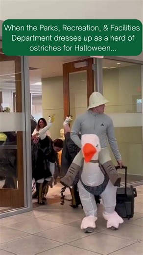 City of Bellaire TX Parks & Recreation on Reels