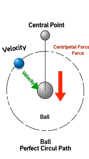 Circular Motion