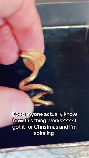 Understanding Taylor Swift Merchandise: User Experiences