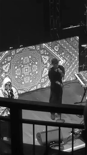 Carpetman: Innovating Floor Design