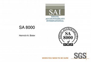 SA 8000 - SlideServe