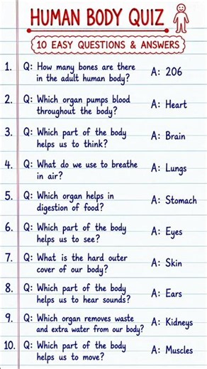 Human Body Quiz 🧍 | 10 Easy Questions & Answers