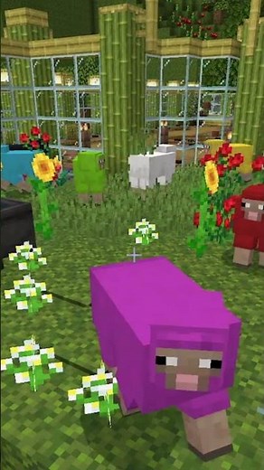 Explore the WILDEST Minecraft Zoo Ever?