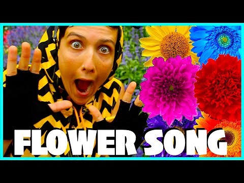 KIDS FLOWER DANCE SONG! | Spring Colors