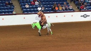 Freestyle Reining 2017 World Championship Appaloosa Show | Appaloosa Horse Club