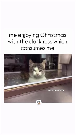 Merry Christmas 🎄 #merrychristmas🎄 | Merry Christmas